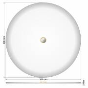 300mm Acrylglasscheibe rund, XT, glänzende Kante, 3mm